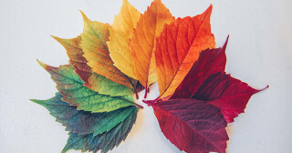 How much electricity do NZ homes use in summer compared to winter?