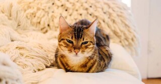 How to lower your power bill this winter