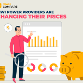 Kiwi Power Providers Are Changing Their Prices with NZ Compare Kiwi Power Providers Are Changing Their Prices with NZ Compare
