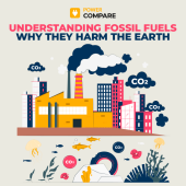 Understanding Fossil Fuels and Why They Harm the Earth with Power Compare Understanding Fossil Fuels and Why They Harm the Earth with Power Compare