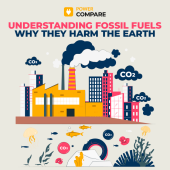 Understanding Fossil Fuels and Why They Harm the Earth with Power Compare